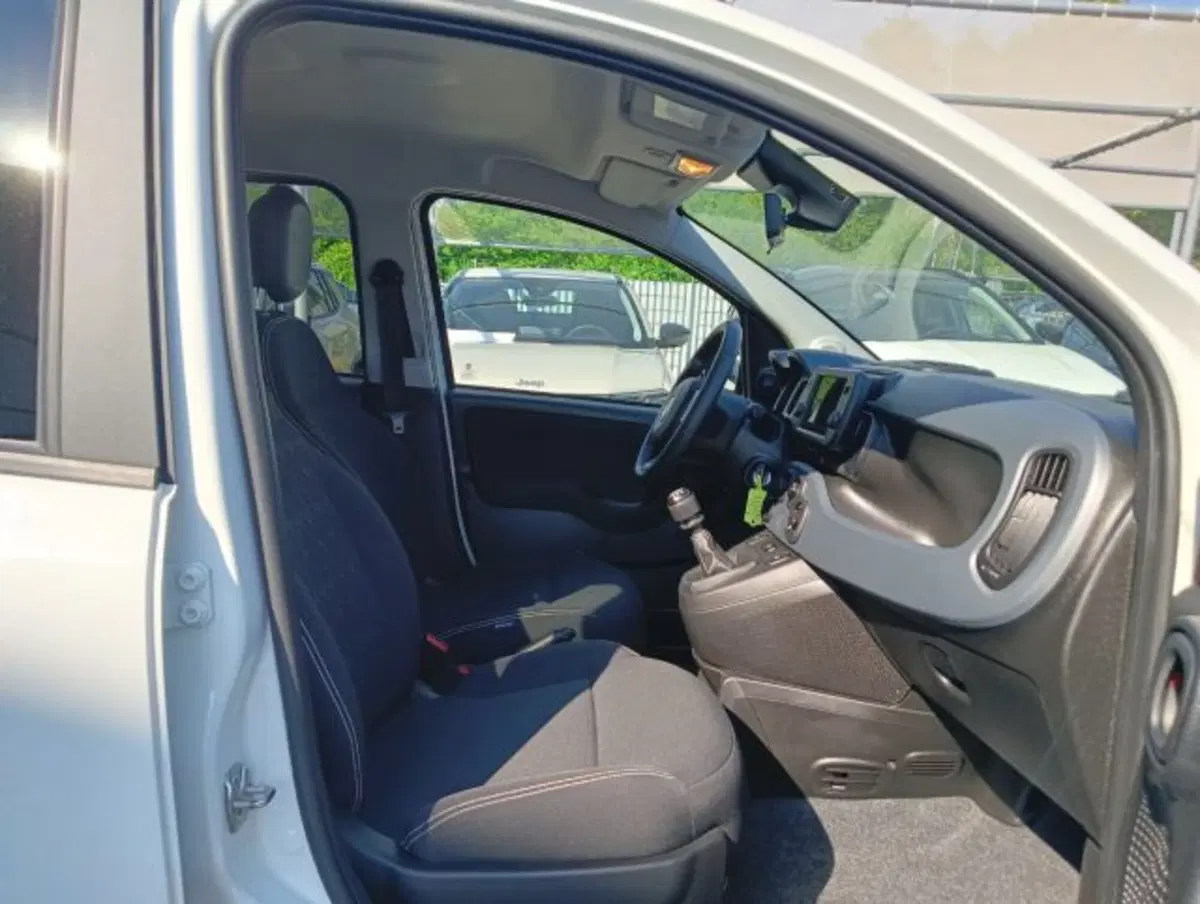 Fiat Panda Cross usata a Brescia (15)