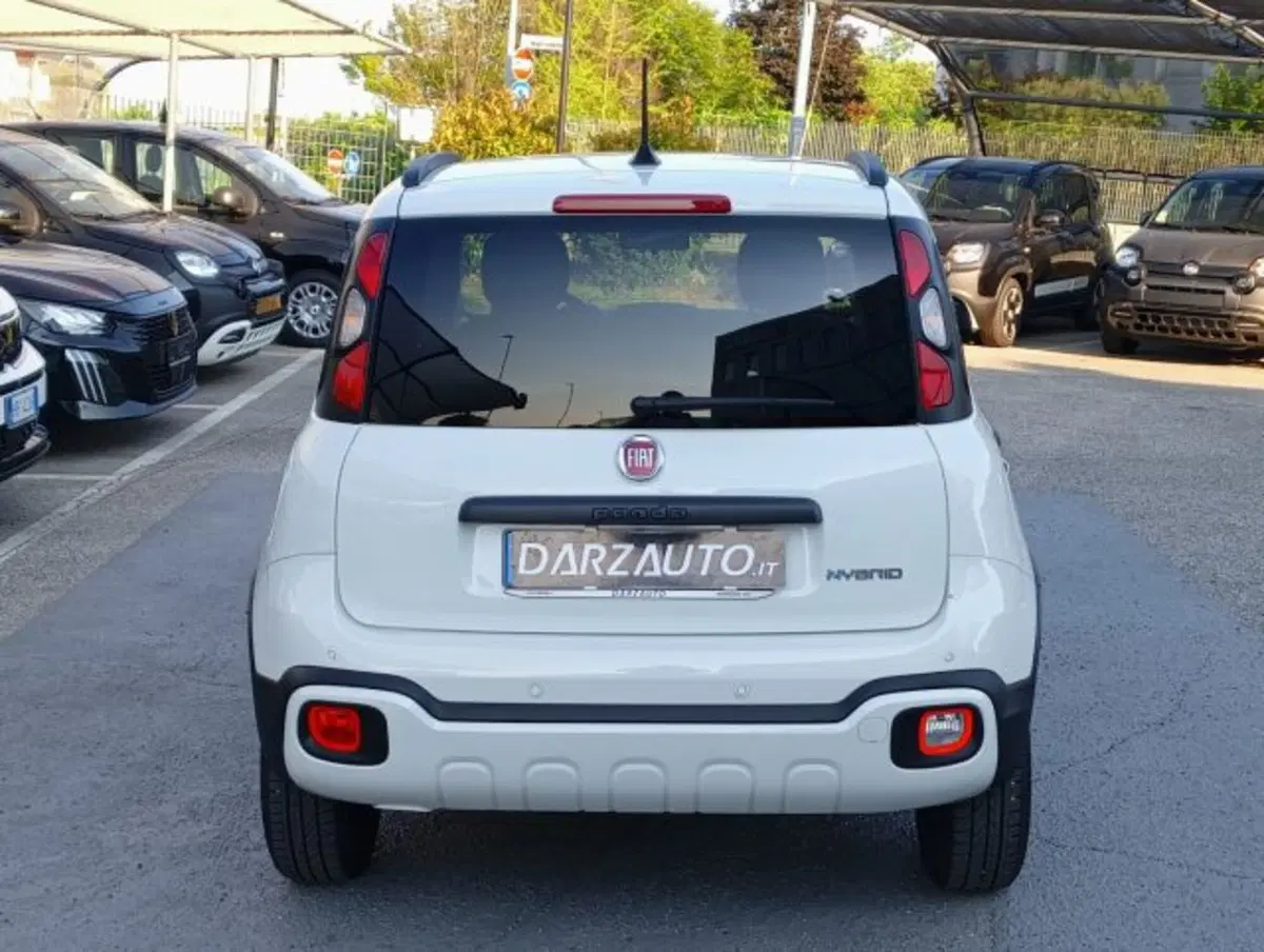 Fiat Panda Cross usata a Brescia (18)