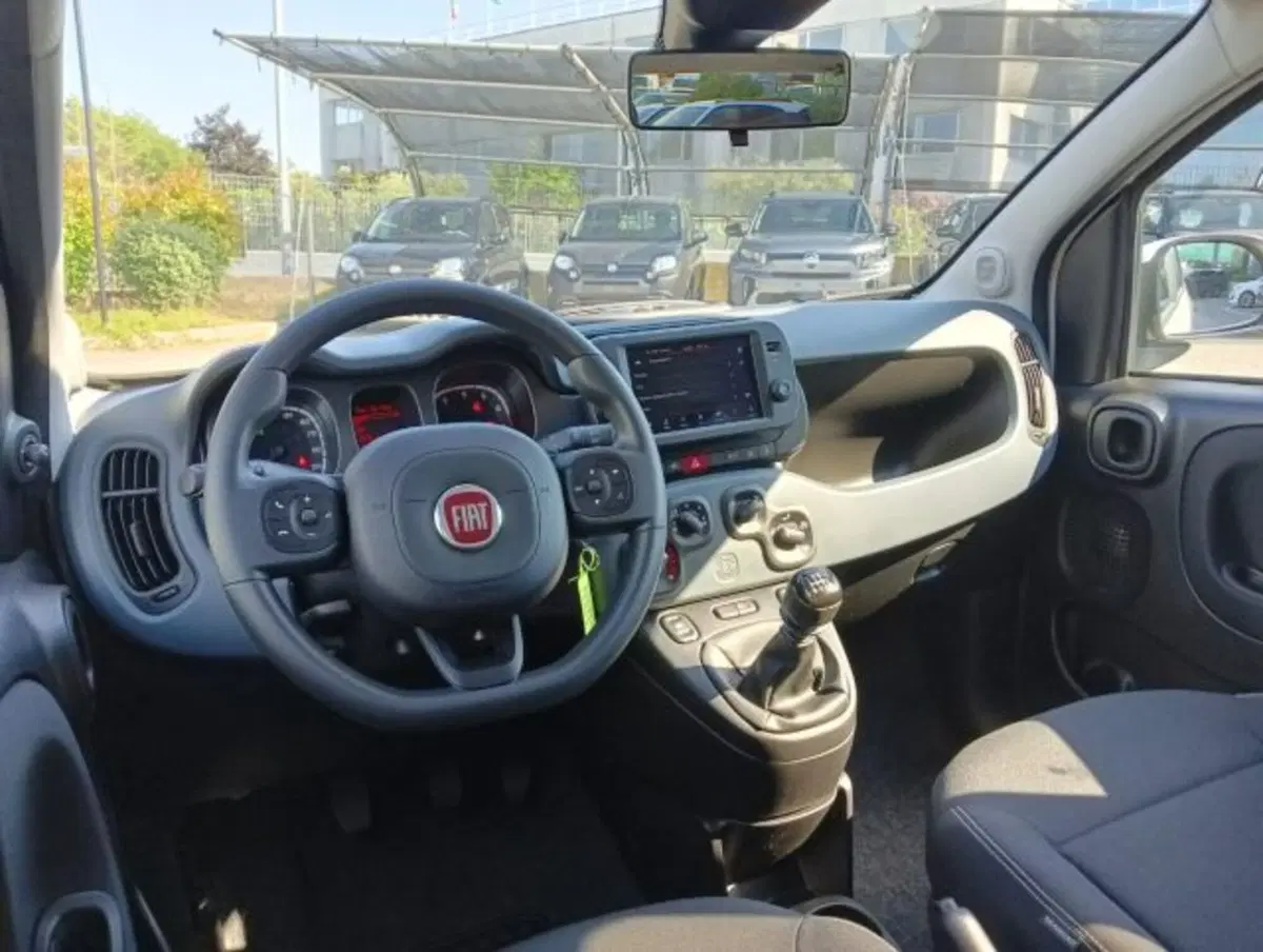 Fiat Panda Cross usata a Brescia (5)