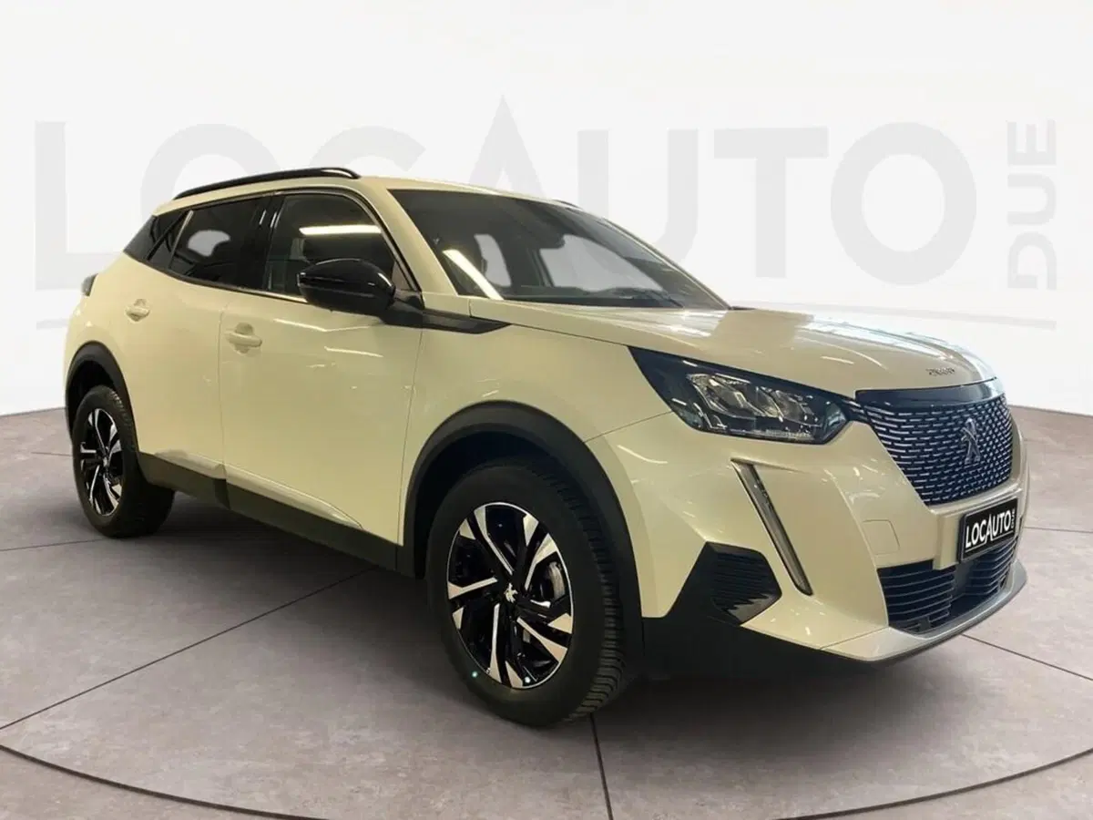Peugeot 2008 usata a Torino (3)