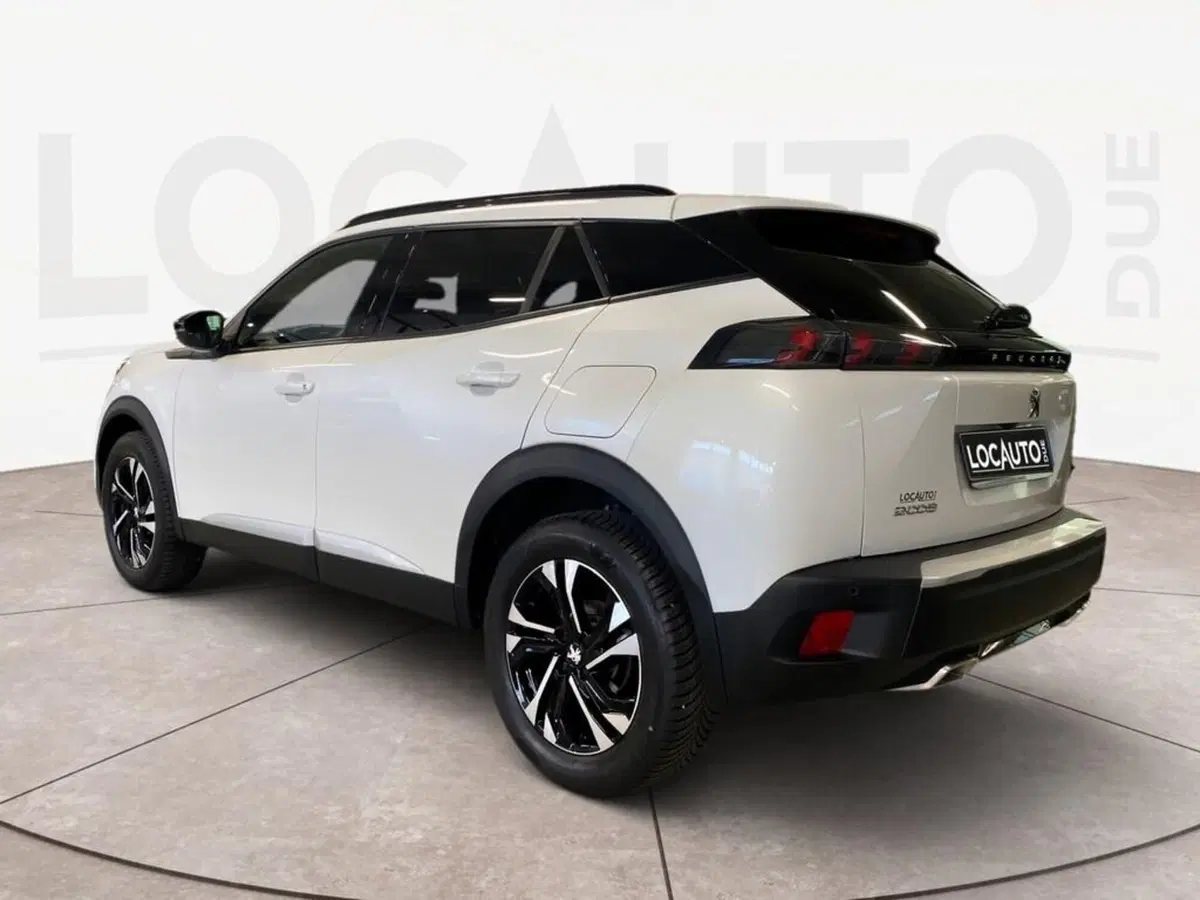 Peugeot 2008 usata a Torino (5)
