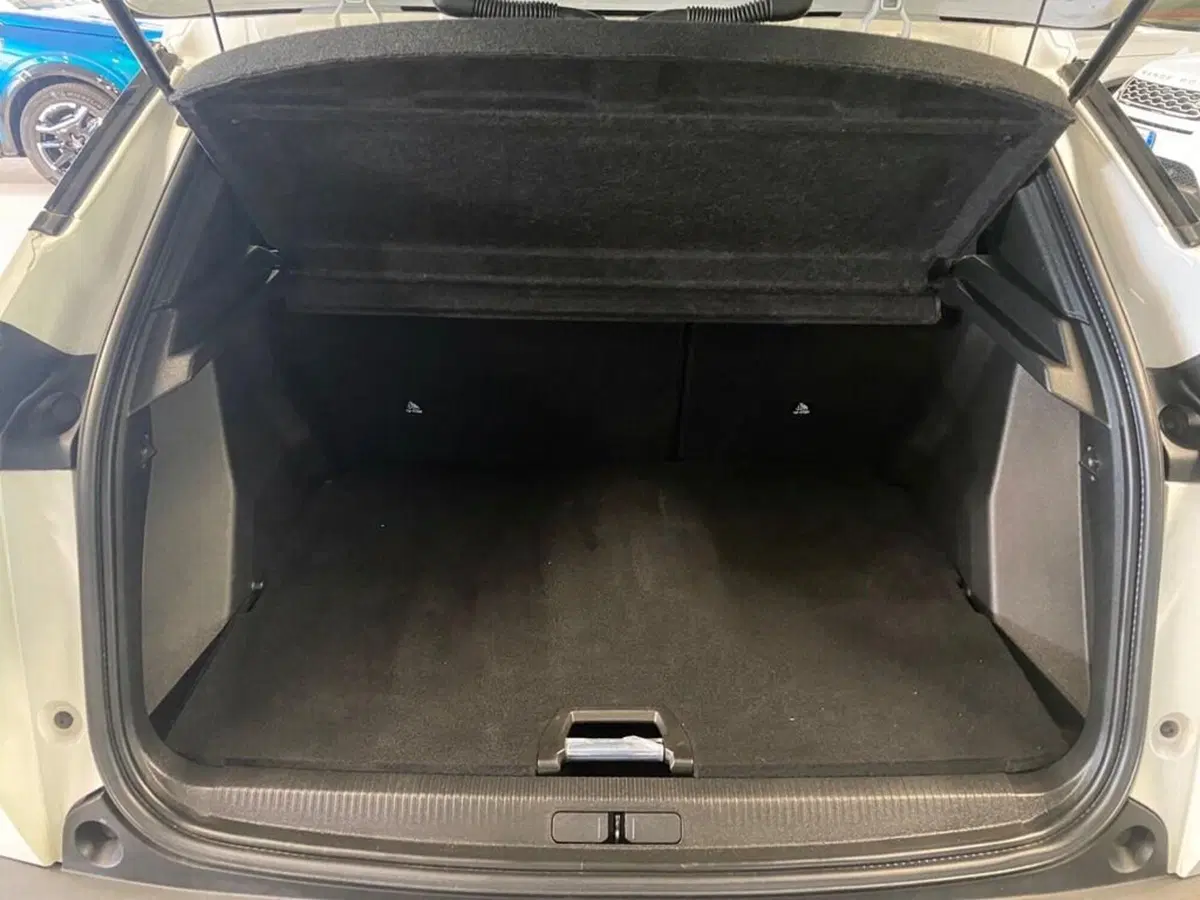 Peugeot 2008 usata a Torino (9)