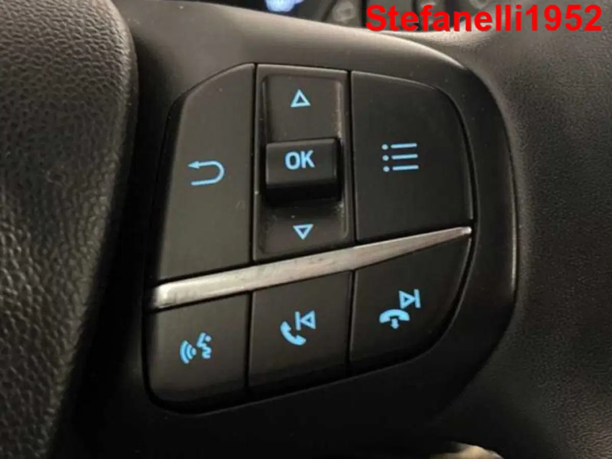Ford Puma usata a Bologna (19)