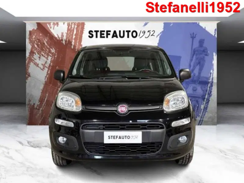 Fiat Panda usata a Bologna (2)