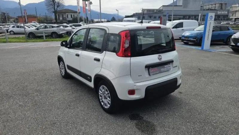 Fiat Panda usata a Lucca (6)