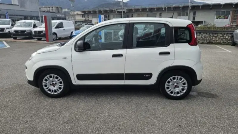 Fiat Panda usata a Lucca (7)