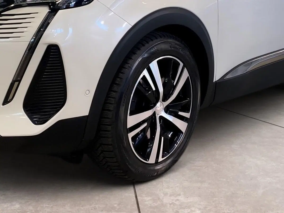 Peugeot 3008 usata a Torino (15)