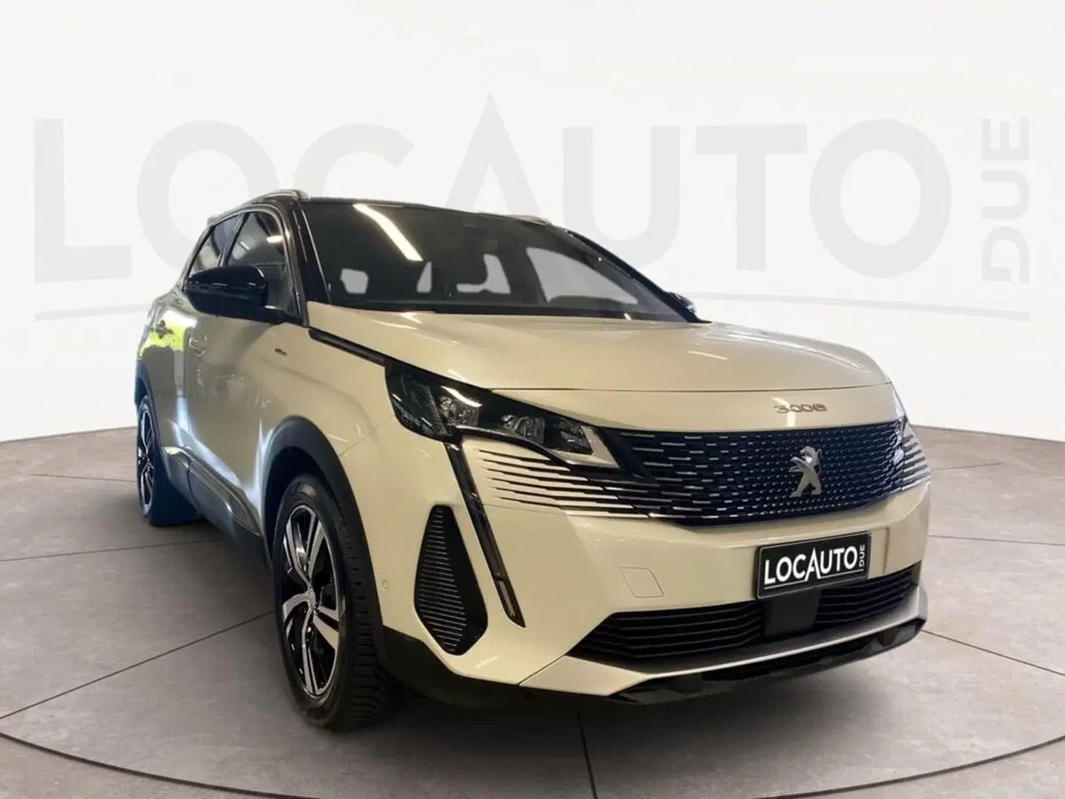Peugeot 3008 usata a Torino (3)