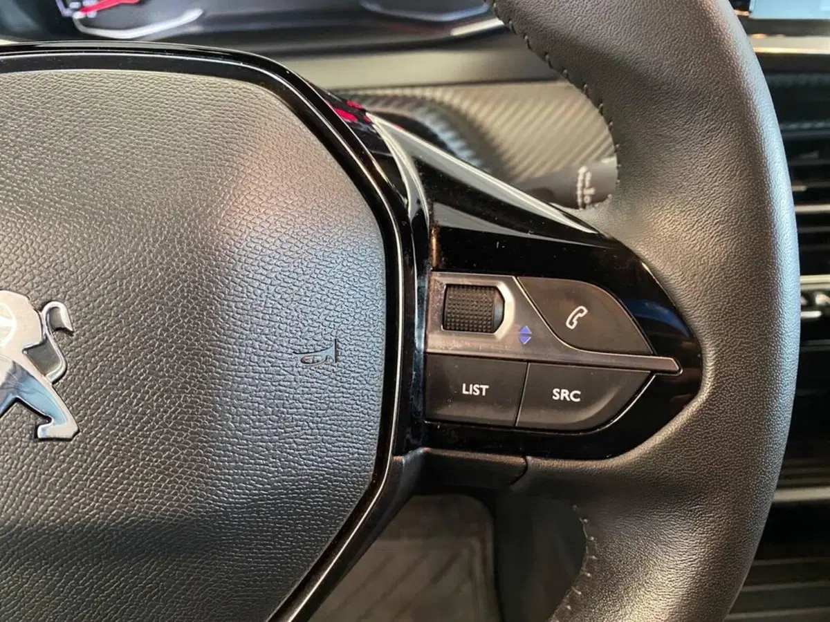 Peugeot 2008 usata a Torino (14)