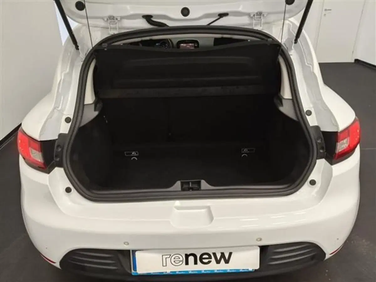Renault Clio usata a Siena (18)