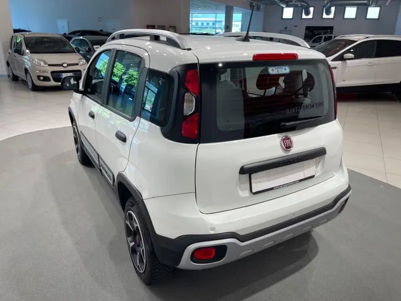 Fiat Panda usata a Sondrio (3)