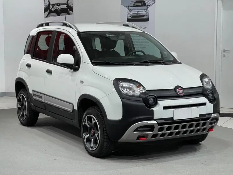 Fiat Panda usata a Sondrio (7)