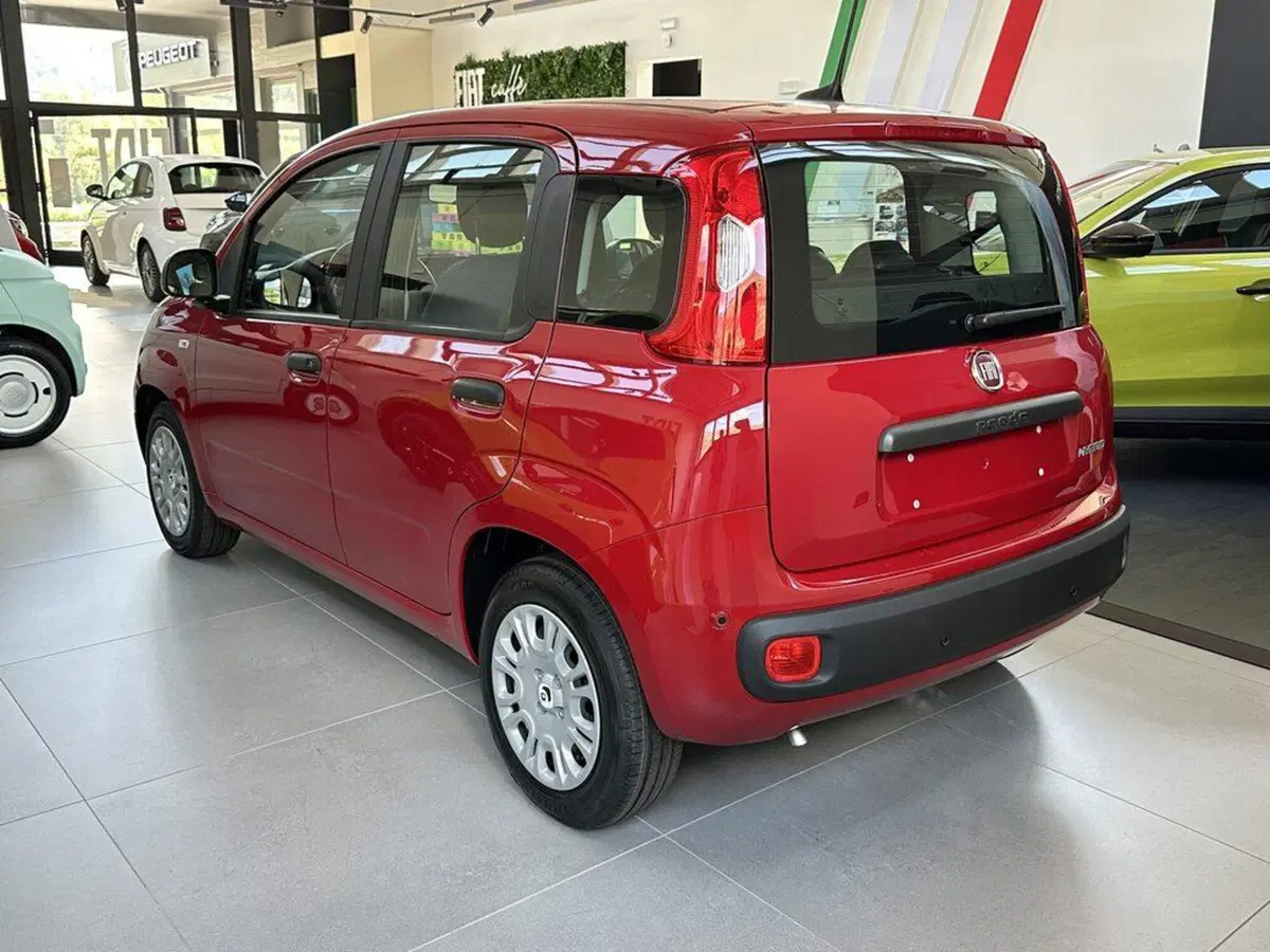 Fiat Pandina nuova a Sondrio (2)