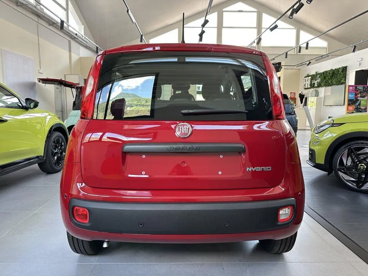 Fiat Pandina nuova a Sondrio (3)