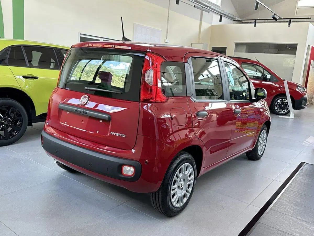 Fiat Pandina nuova a Sondrio (4)
