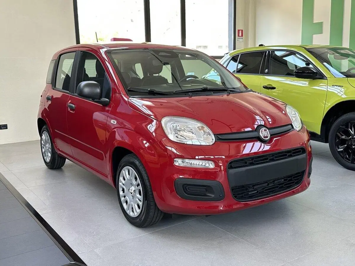 Fiat Pandina nuova a Sondrio (5)