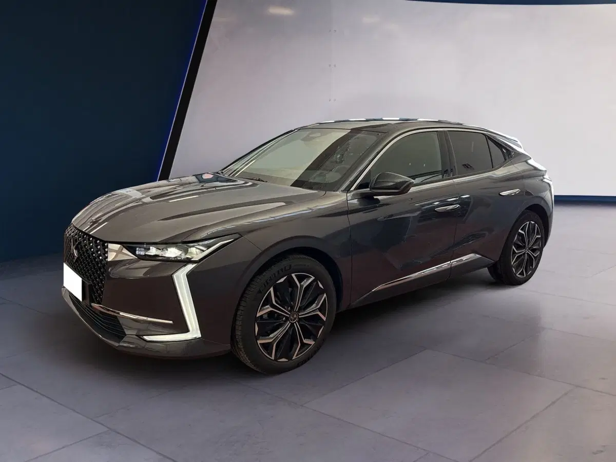 Ds DS 4 usata a Torino (3)