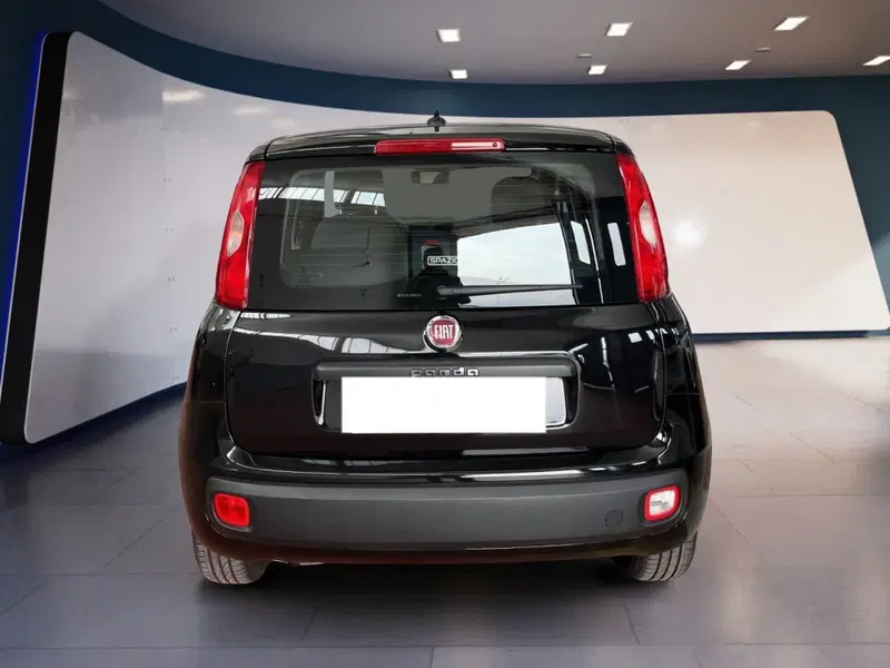 Fiat Panda usata a Torino (5)