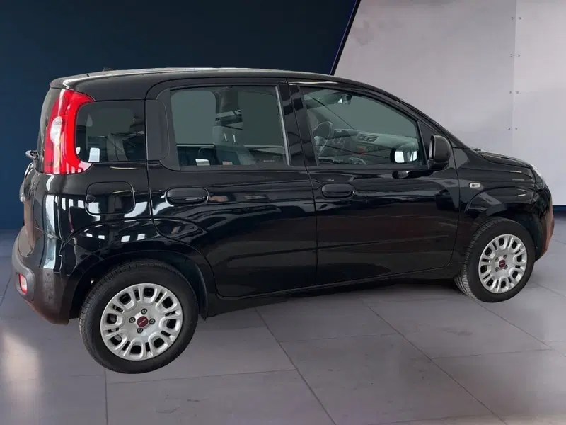 Fiat Panda usata a Torino (6)