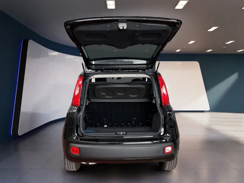 Fiat Panda usata a Torino (7)