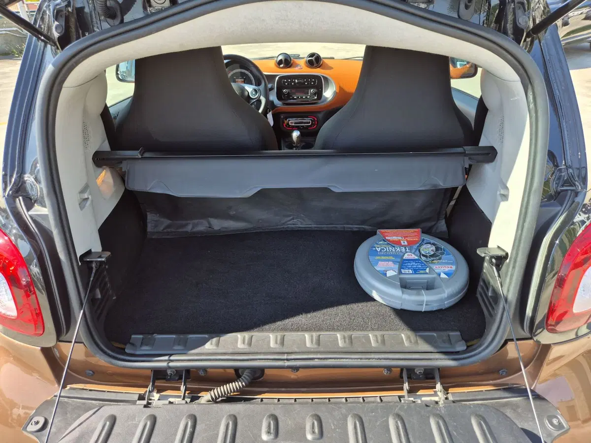 smart Fortwo usata  (10)