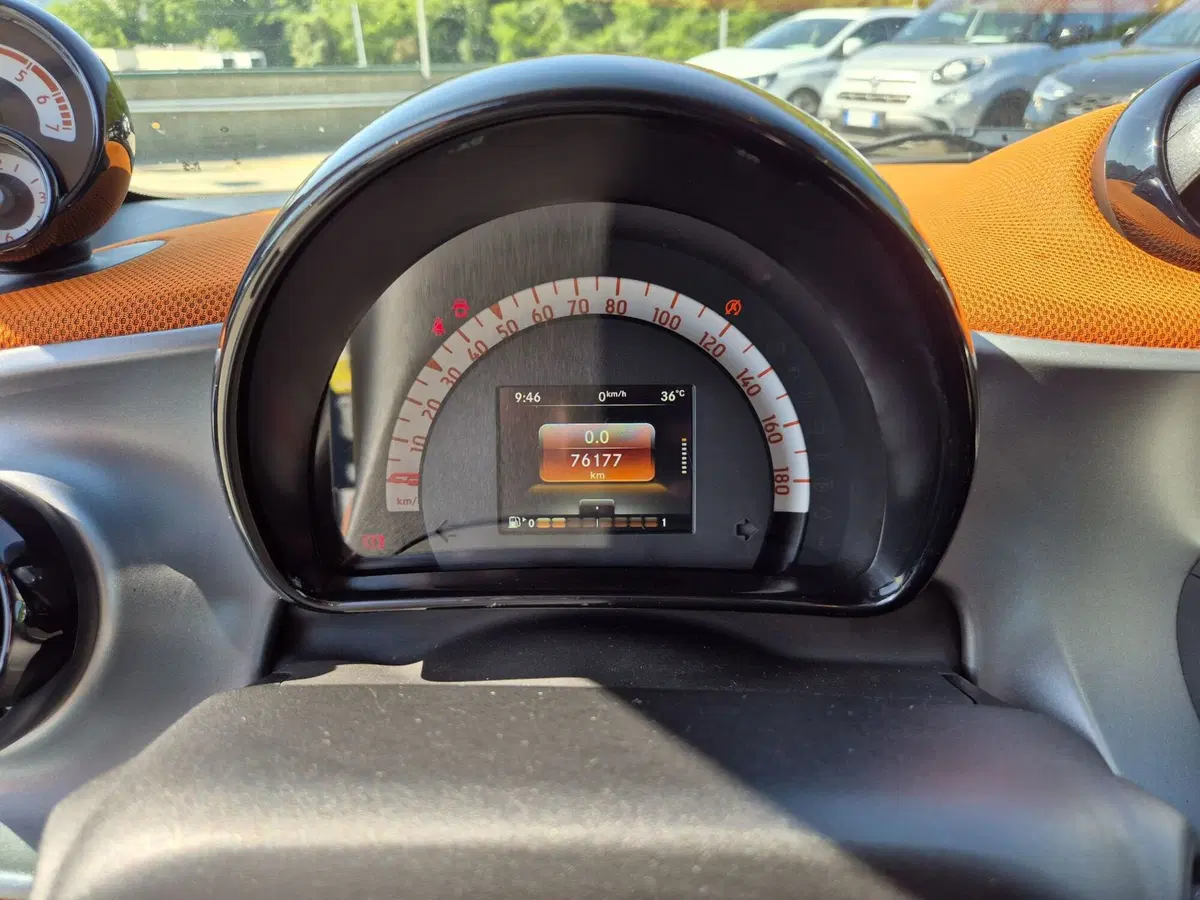 smart Fortwo usata  (12)
