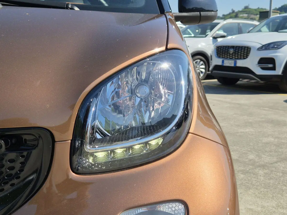 smart Fortwo usata  (13)