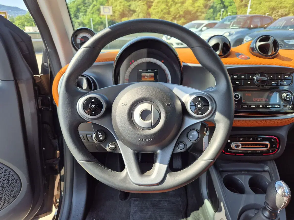 smart Fortwo usata  (14)