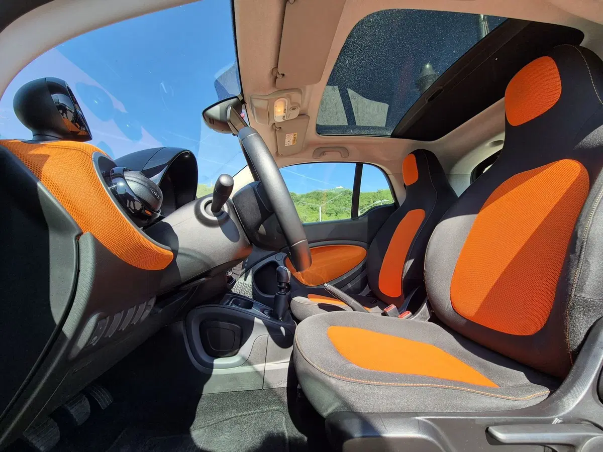 smart Fortwo usata  (15)