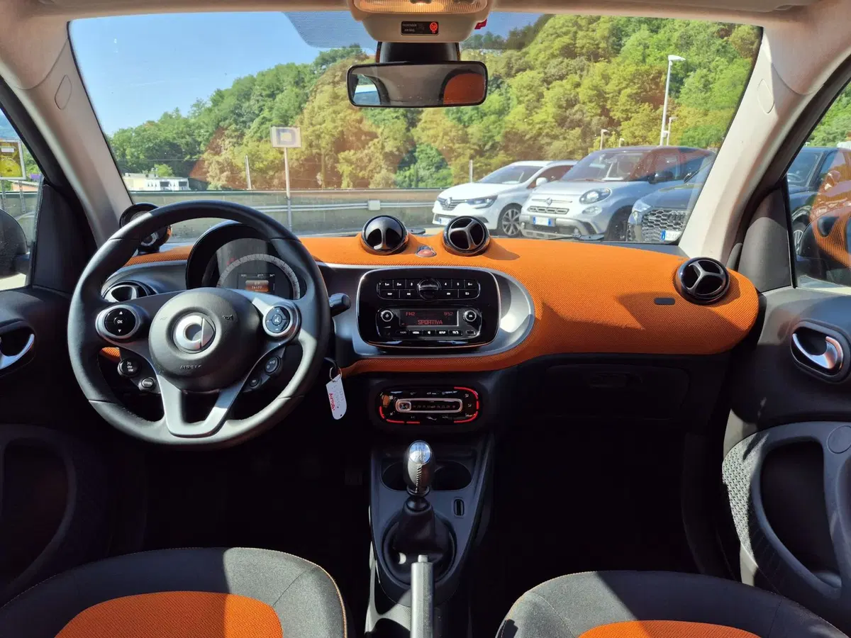 smart Fortwo usata  (7)