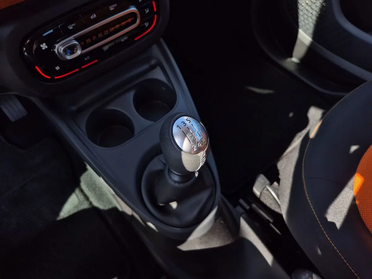 smart Fortwo usata  (9)