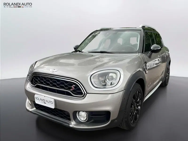 MINI Mini Countryman usata a Alessandria