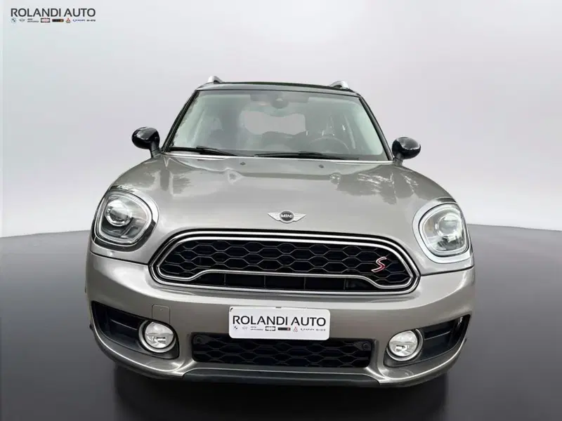 MINI Mini Countryman usata a Alessandria (7)