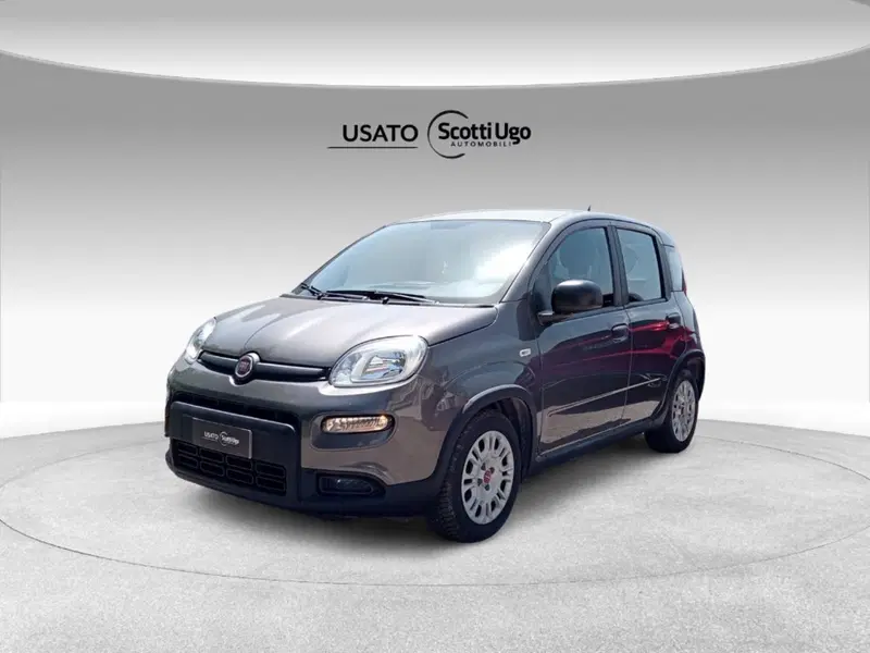 Fiat Panda usata a Firenze