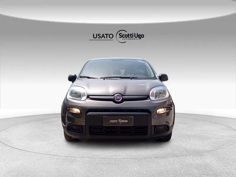 Fiat Panda usata a Firenze (3)