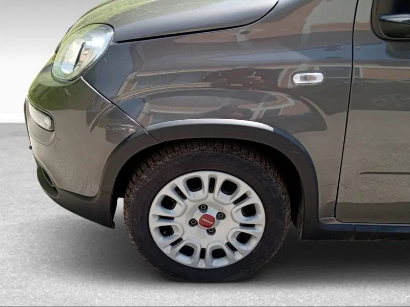 Fiat Panda usata a Firenze (4)