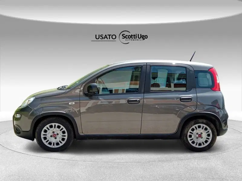 Fiat Panda usata a Firenze (5)