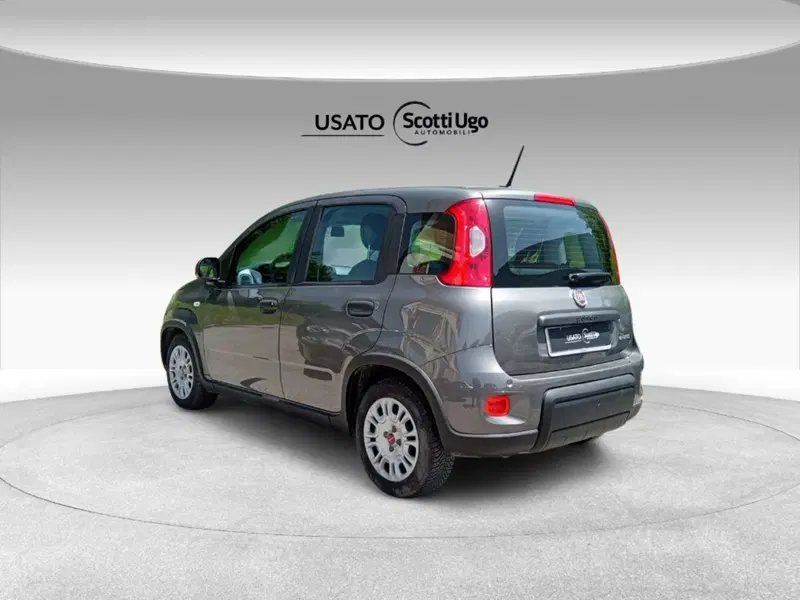 Fiat Panda usata a Firenze (6)