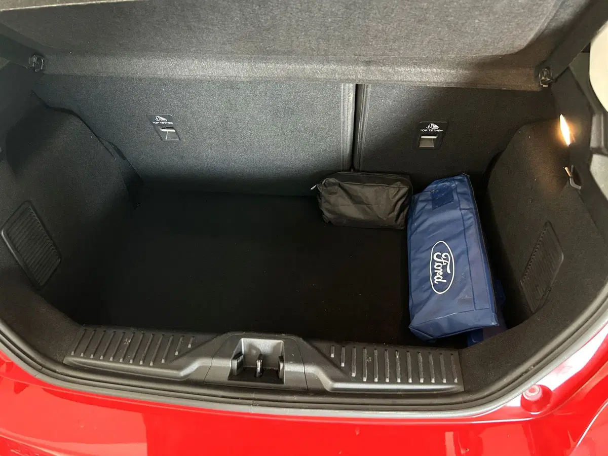 Ford Fiesta usata a Ferrara (14)