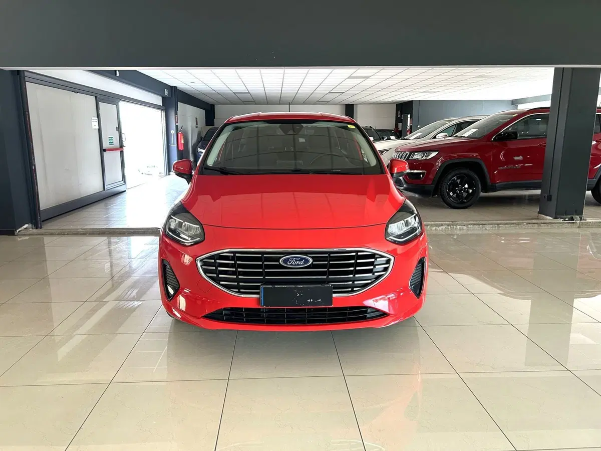 Ford Fiesta usata a Ferrara (2)