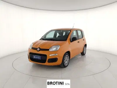 Fiat Panda 1.2 Easy del 2019 usata a Massa