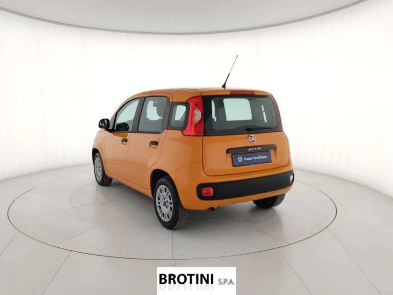 Fiat Panda usata a Massa-Carrara (2)