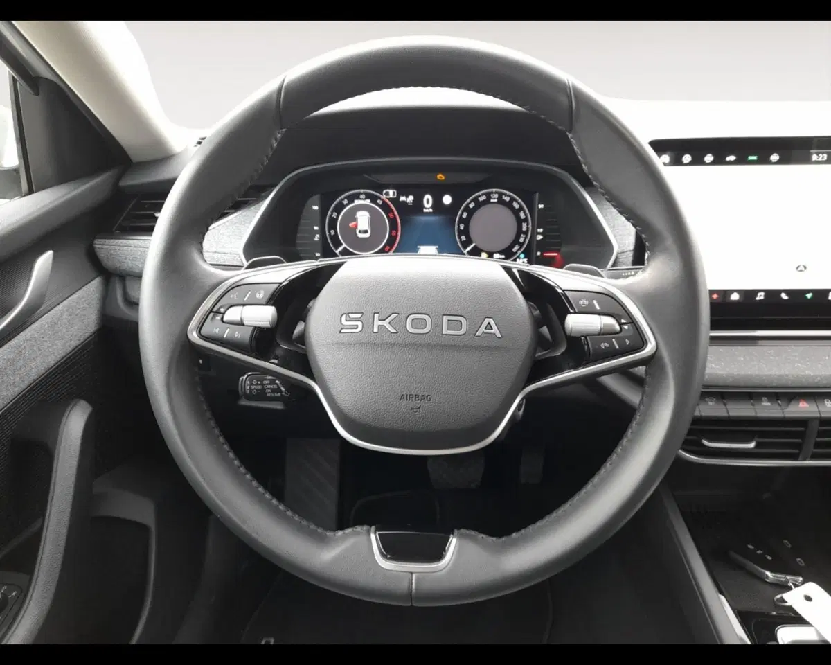 Skoda Octavia Station Wagon usata a Forlì-Cesena (12)