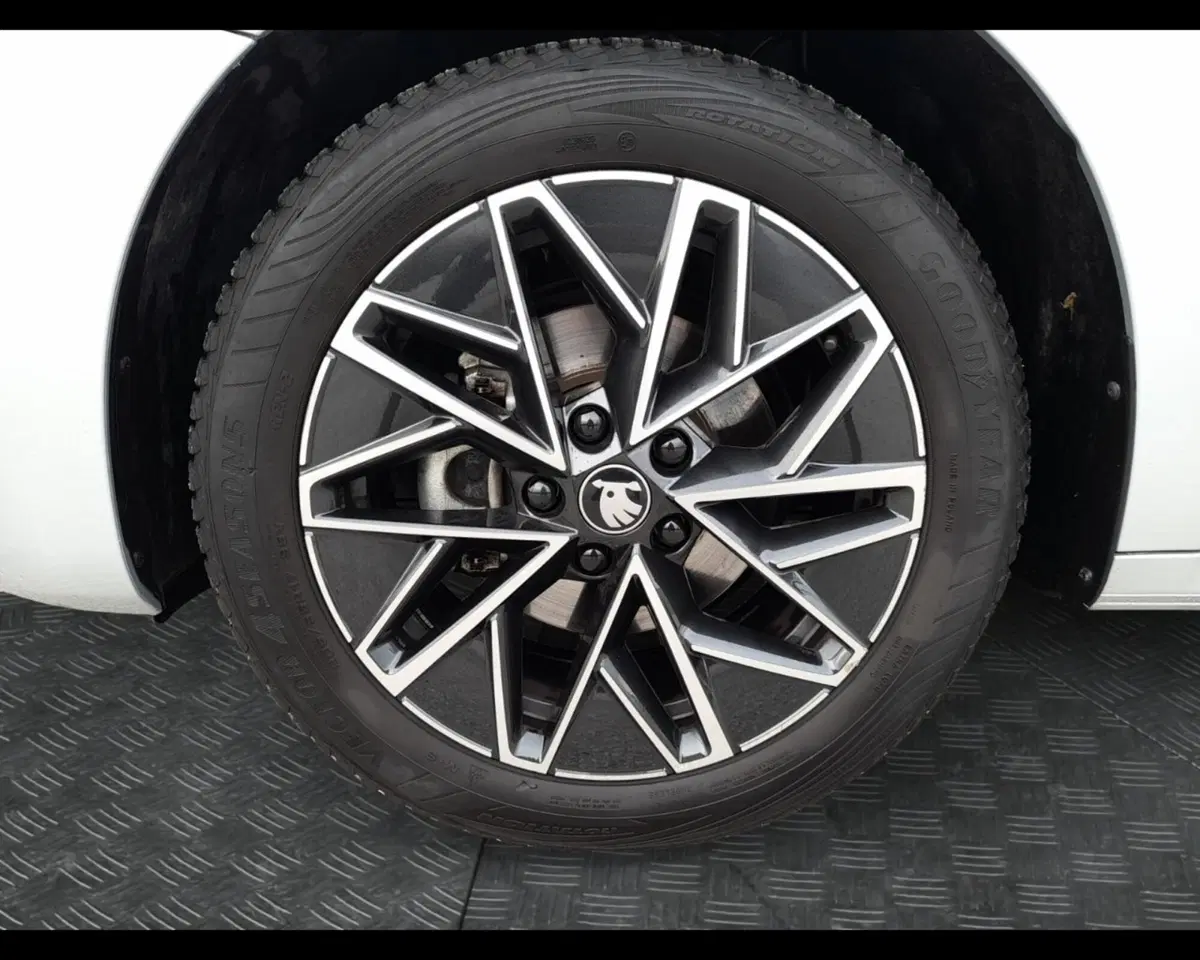Skoda Octavia Station Wagon usata a Forlì-Cesena (14)