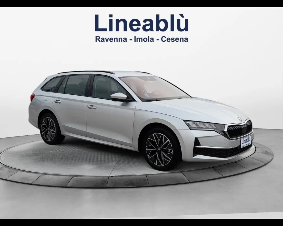 Skoda Octavia Station Wagon usata a Forlì-Cesena (7)