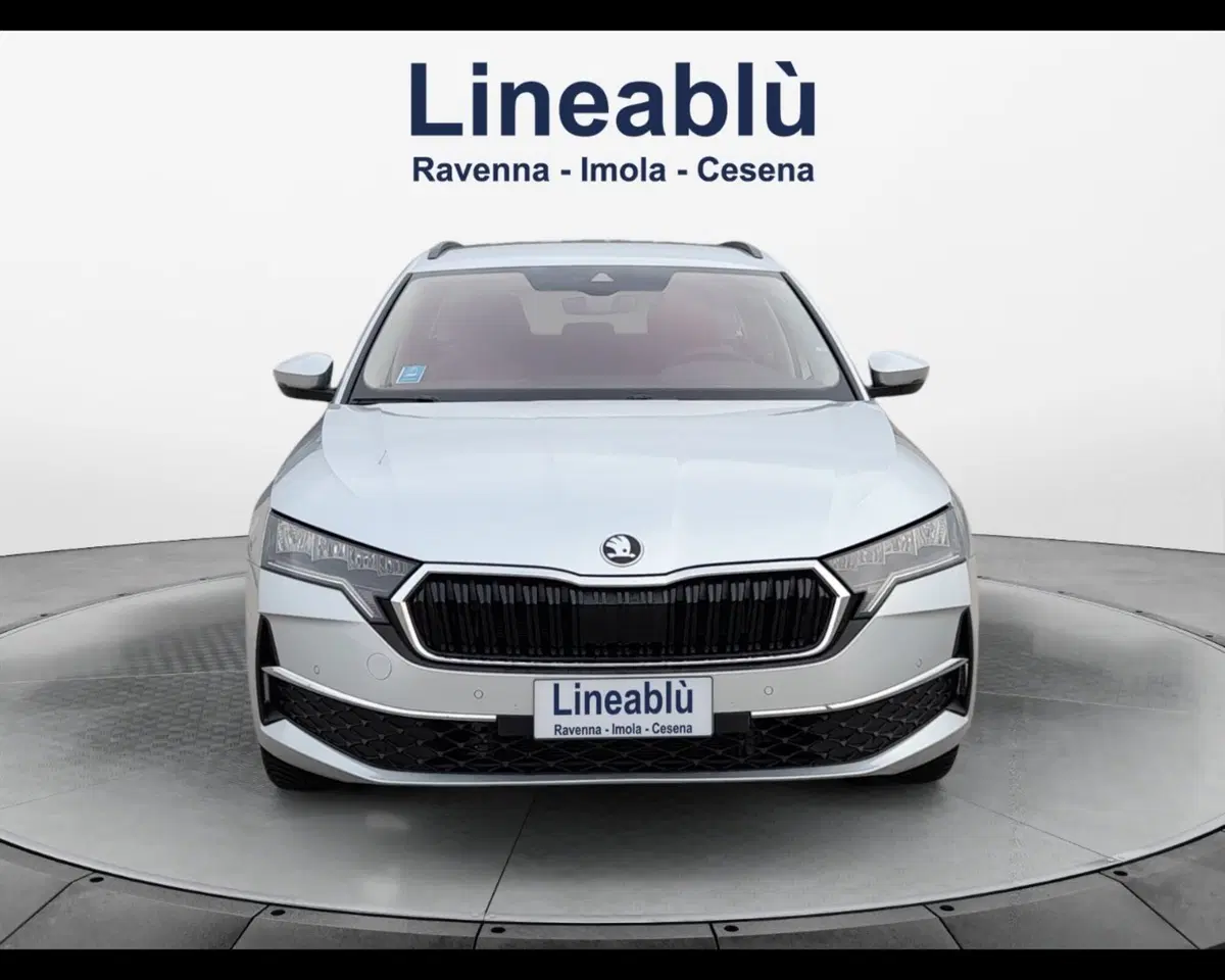 Skoda Octavia Station Wagon usata a Forlì-Cesena (8)