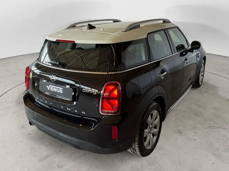 MINI Mini Countryman usata a Monza e Brianza (6)