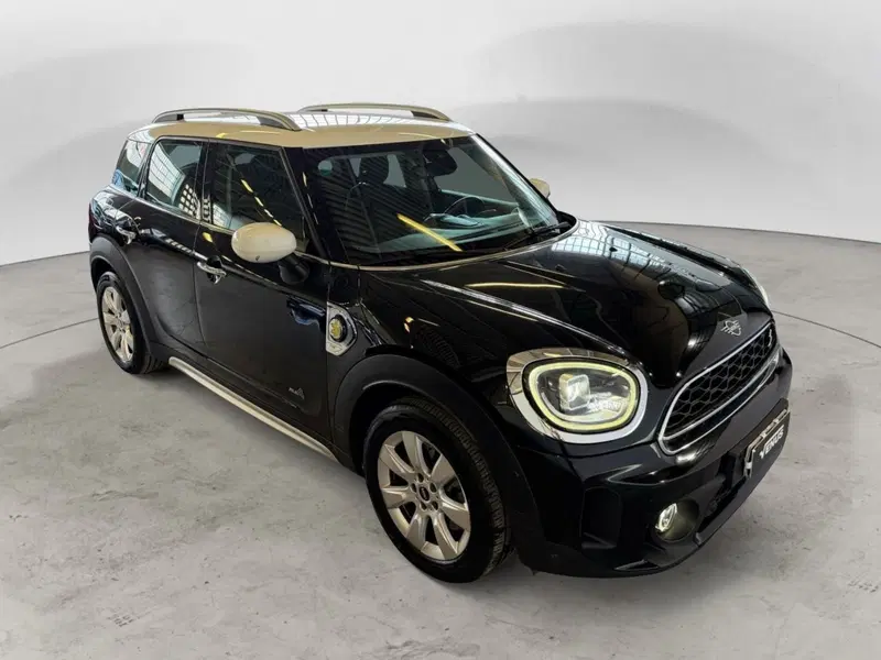 MINI Mini Countryman usata a Monza e Brianza (16)