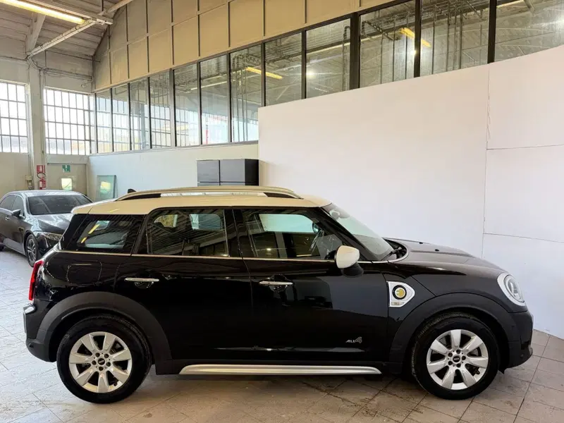 MINI Mini Countryman usata a Monza e Brianza (7)