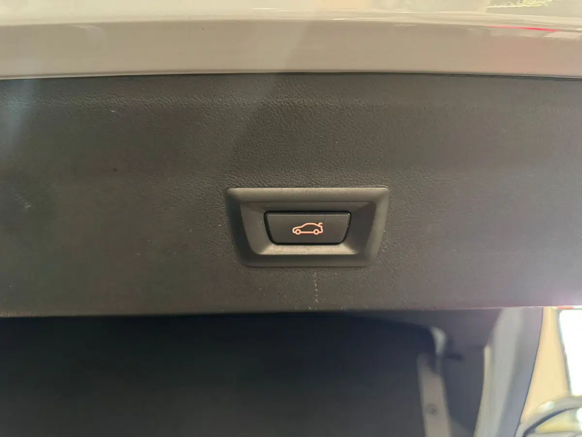 BMW X4 usata a Salerno (11)